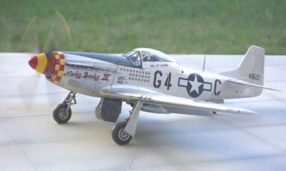 P-51 Mustangoutdoor shoot