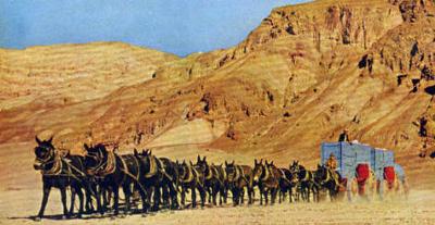 20-mule team Borax ready for another desert run